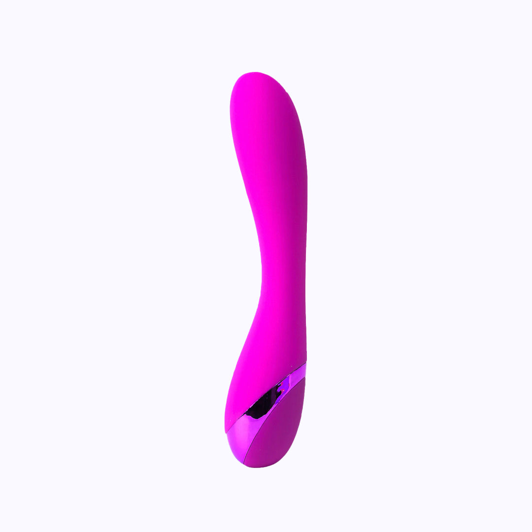 The Vibrator by Shanna Moakler