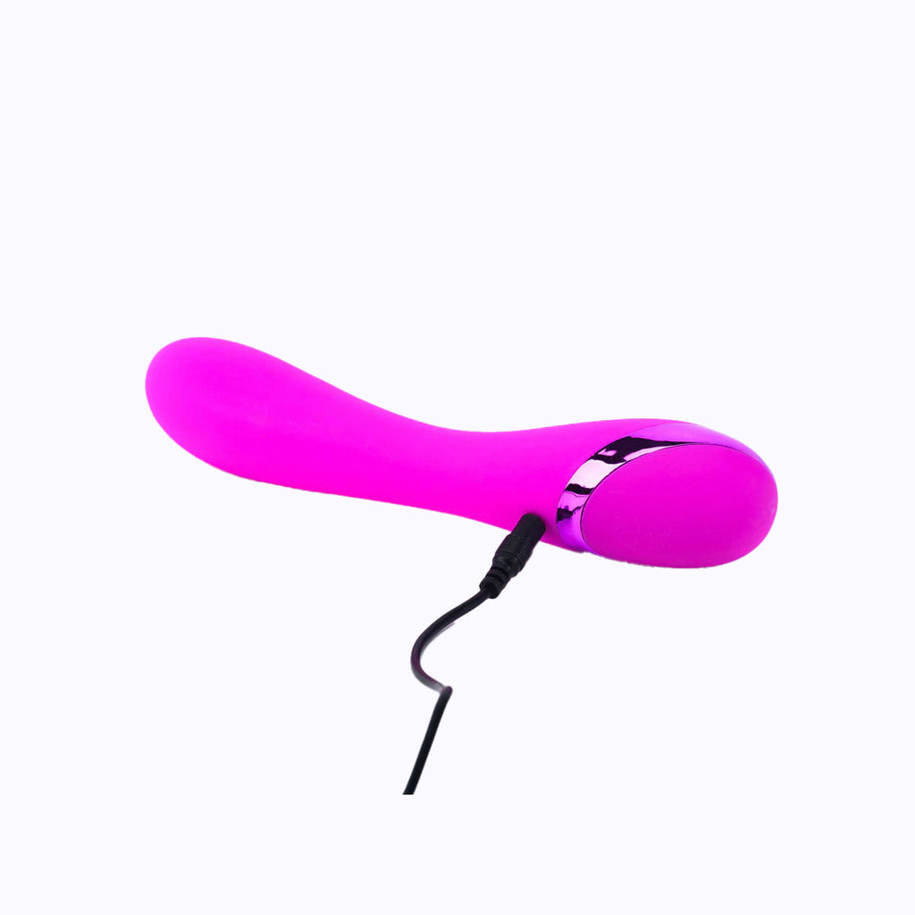 The Vibrator by Shanna Moakler